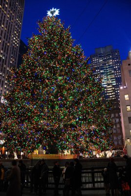 X'mas tree at Rockefeller Center