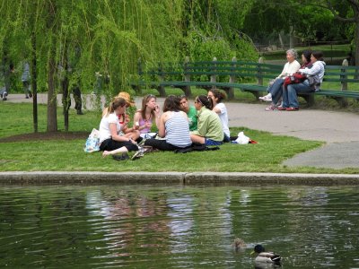 g1/93/852293/3/97852083.iTOVUa4d.jpg