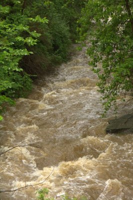 june_nature