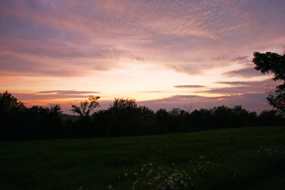 IMG_6002 copy.jpg