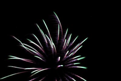 IMG_3260 copy.jpg