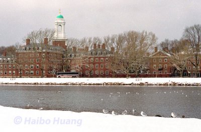 Harvard in Winter.jpg