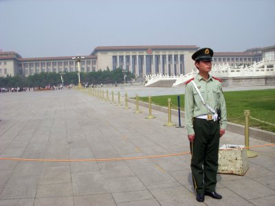 Soldier in front of the National Assembly - all police and soldiers were unarmed
