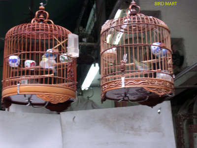 Bird Mart - Hong Kong