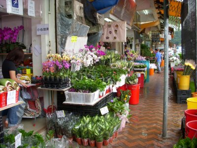 Flower Mart - Hong Kong