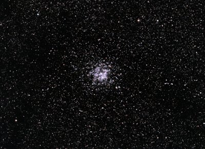 The Wild Duck Cluster