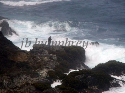 pacific ocean fishing