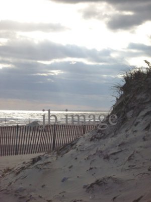 MA coastal dunes