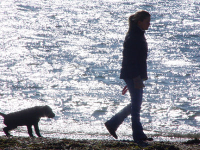 beach walk w pup