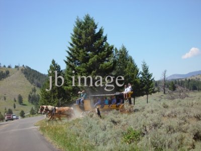 stage coach yellowstone NP WY