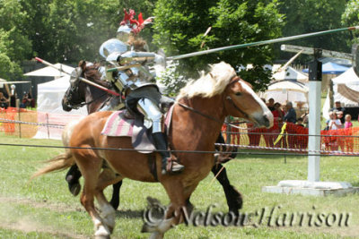 Medeival Faire D060602 179 copy.jpg