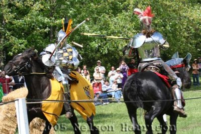 Medieval Faire D050508 164 copy.jpg