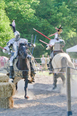Medieval-Faire-2010-0978-www.jpg