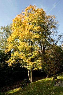 g1/94/11494/3/104341846.uLl7Ar8D.jpg