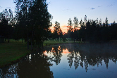 Sunrise at dam at Thistle Hill, Hunter Valley