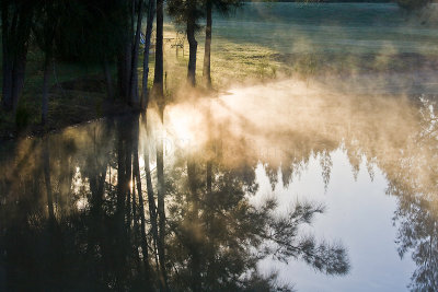 Mist rising over the dam at sunrise at Thistle Hill Guest House, Pokolbin, New South Wales