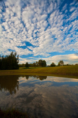 Reflection of clouds in dam at Thistle Hill, Pokolbin