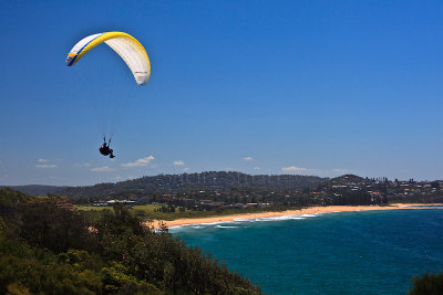 Paraglider over Mona Vale Beach