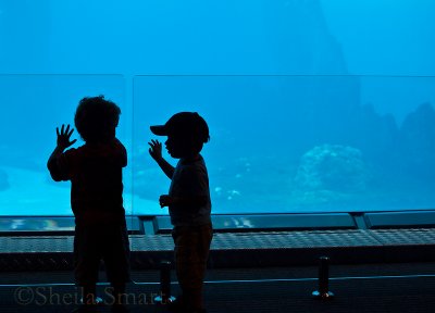 Children silhouette in underwater aquarium