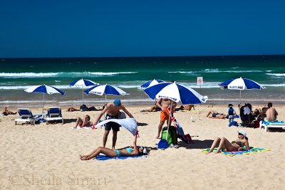 Manly Beach on a summers day