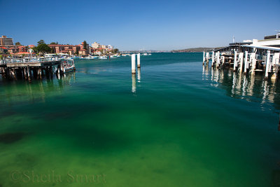 Manly Harbour at wharf