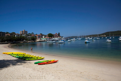 Manly Harbour with kayaks