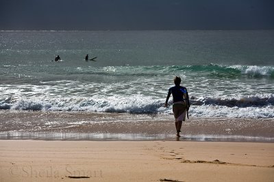 Surfers at Warriewood beach