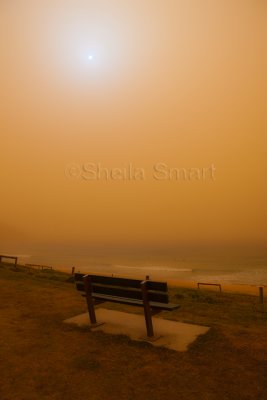 Seat at Palm Beach with sun in dust storm