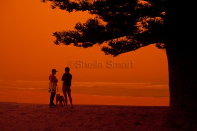 Walkers at Avalon Beach dust storm at dawn