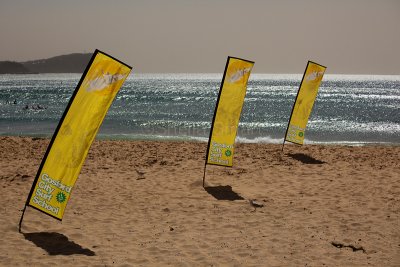 Surf school flags