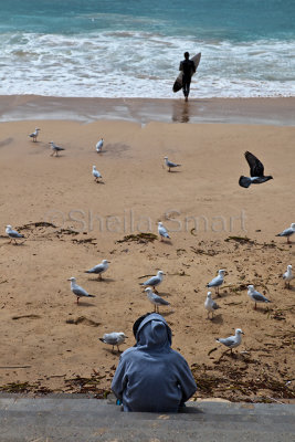 Boy on steps with gulls and surfer