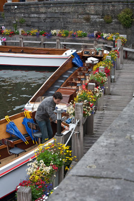 Flowers in Brugge 