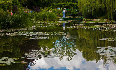 Water Lily pond in Monets Garden 