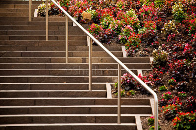 Flowers on steps at MLC Centre, Martin Place