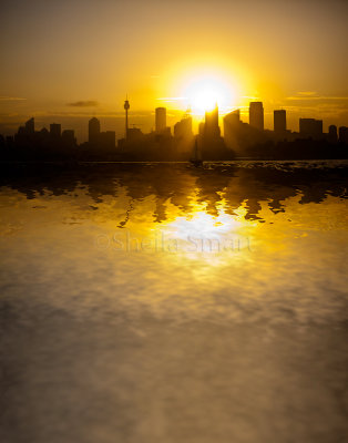 Sydney Harbour sunset reflection abstract