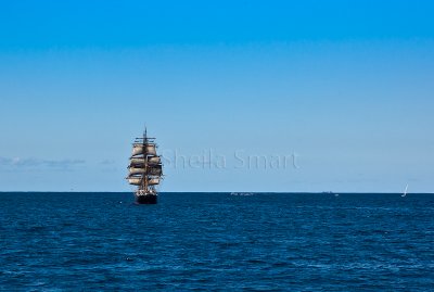 Tallship on Sydney Harbour