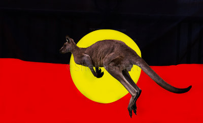 Aboriginal  flag with eastern grey kangaroo cutout