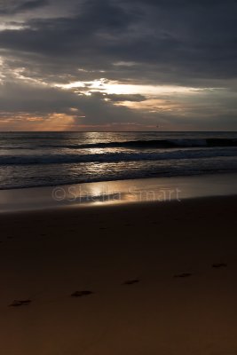 Sunrise at Newport Beach portrait