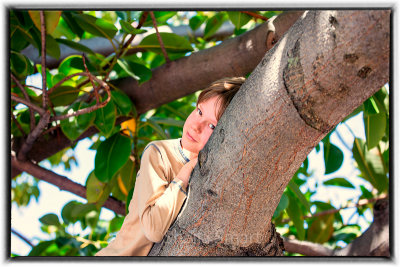 Boy up a tree Nik with frame 