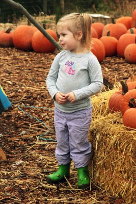 IMG_3043PB.jpg