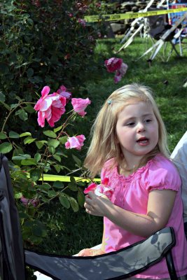 IMG_0232a.jpg