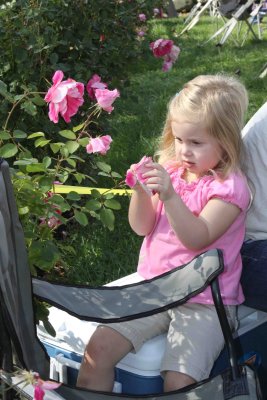 IMG_0236a.jpg