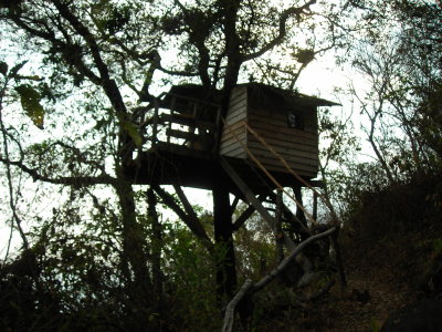 treehouse!