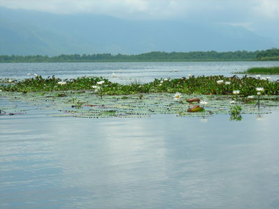 Lago Izabal