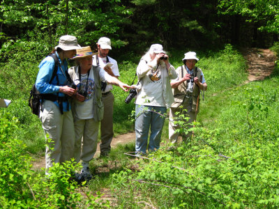 Butterfly walk at Delaney conservation area