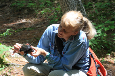 Julie holding a young Snapping Turtle