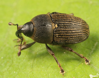 g1/94/339594/3/115350140.E5ddUnvX.jpg