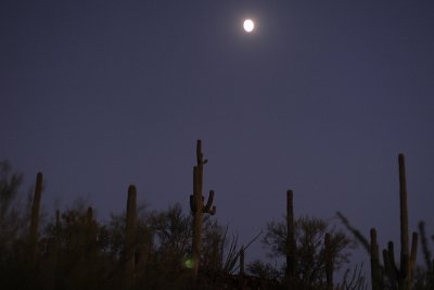 Tuscon by night