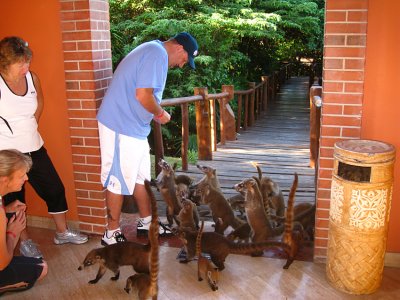Yucatan Animals 2010