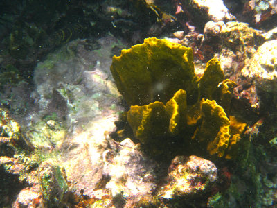 g1/94/339594/3/129735906.xIlSgyHS.jpg